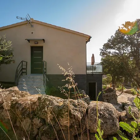 公寓 Casa Emma Sollacaro